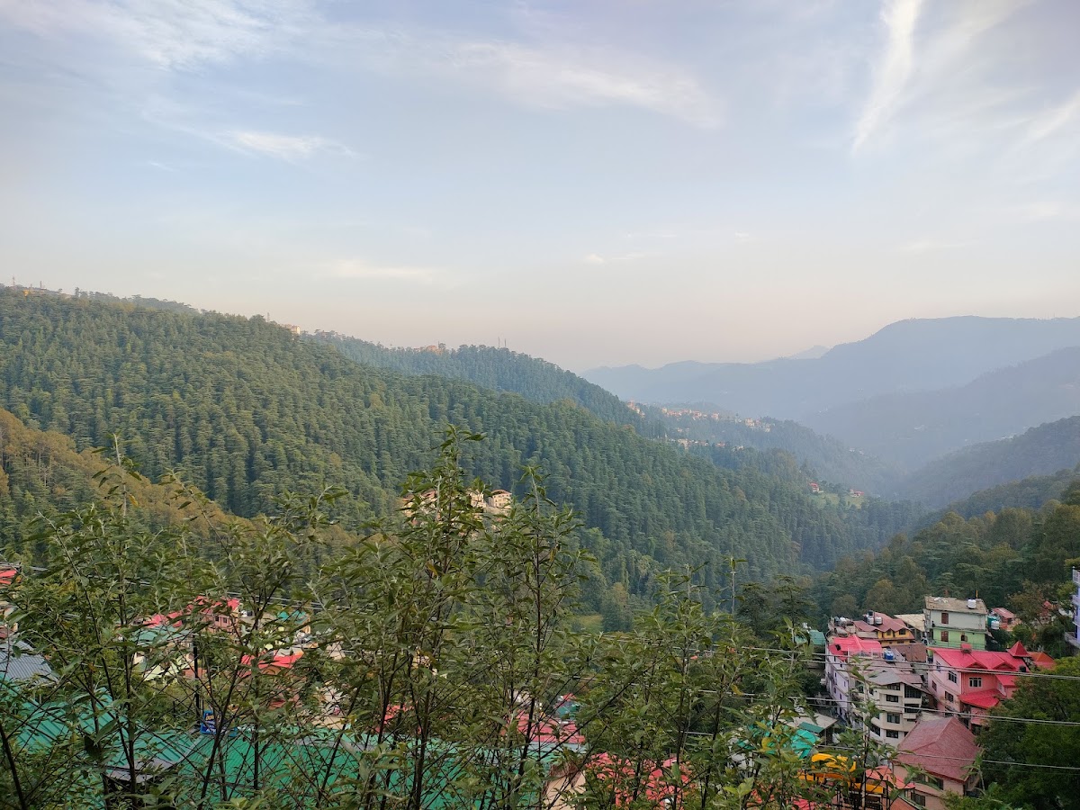 Shimla Flour Mill