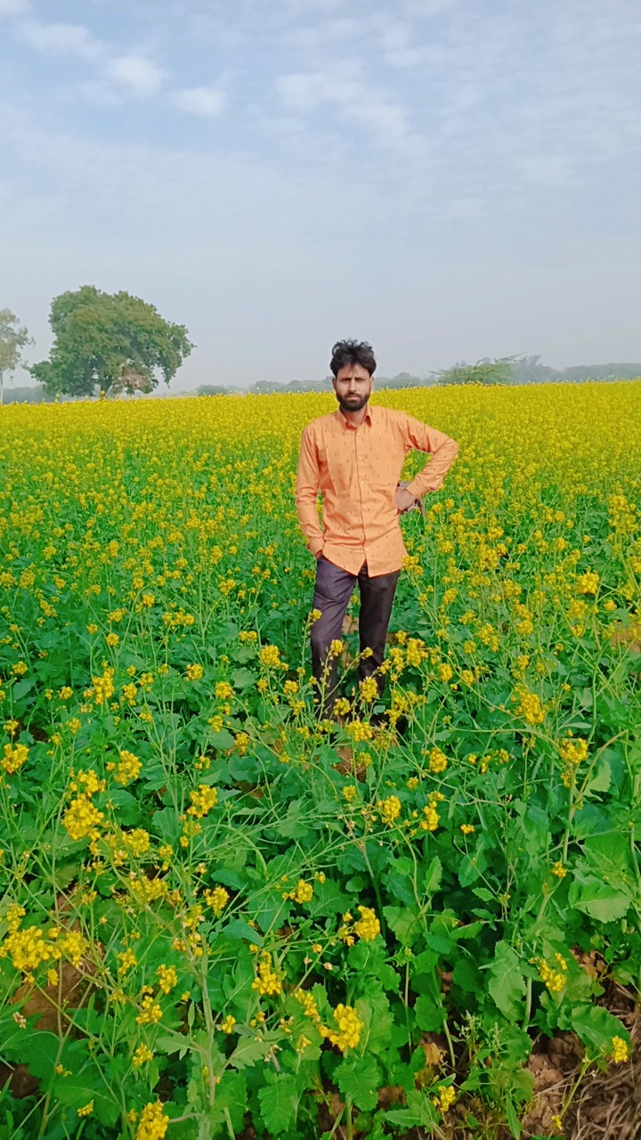 Bhartiya Steel Rolling Mills