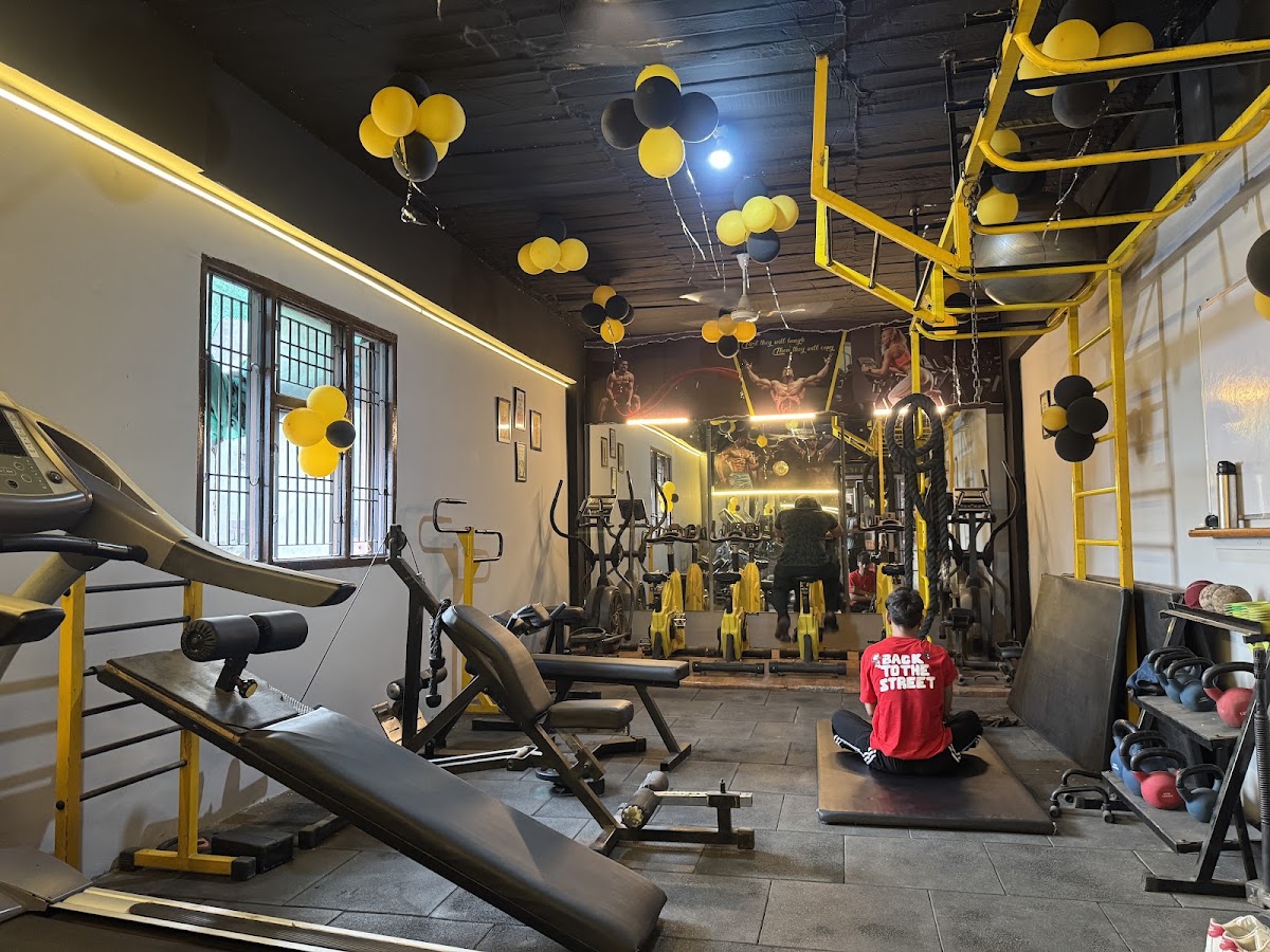 Anabolic gym