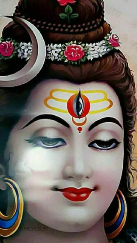 Mahawar Iron Stores Pvt Ltd