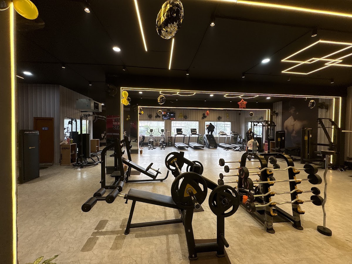 The Paradise Gym
